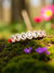 ✨ Ammaira’s Radiant Glow Rose Gold Plated AAA AD Zirconia Openable Bracelet ✨